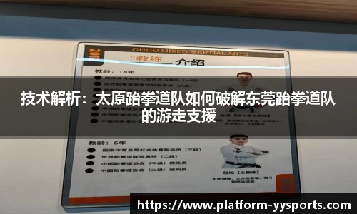 yy易游体育官网