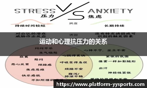 yy易游体育官网