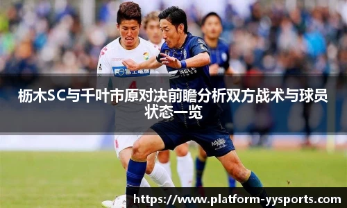 yy易游体育官网