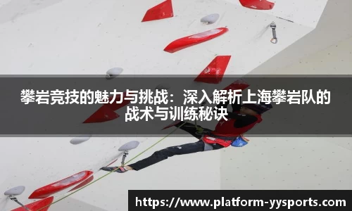 yy易游体育官网